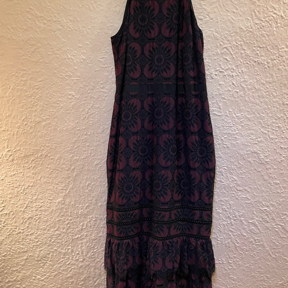 Banana Republic Black and Raspberry lacy dress